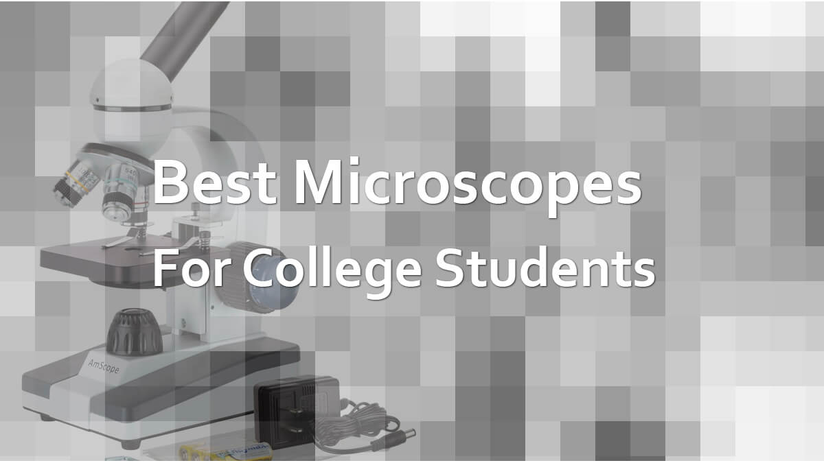 Best Microscopes for Students of College and High School